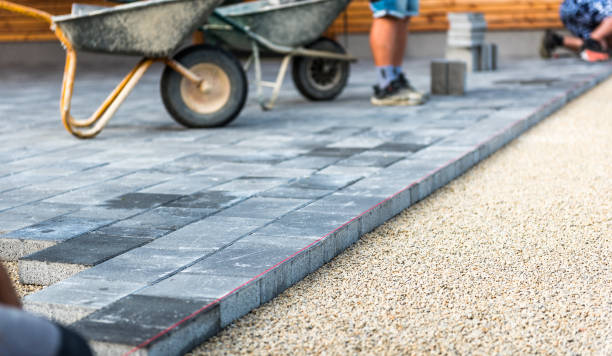Best Decorative Driveway Pavers  in Pamplico, SC