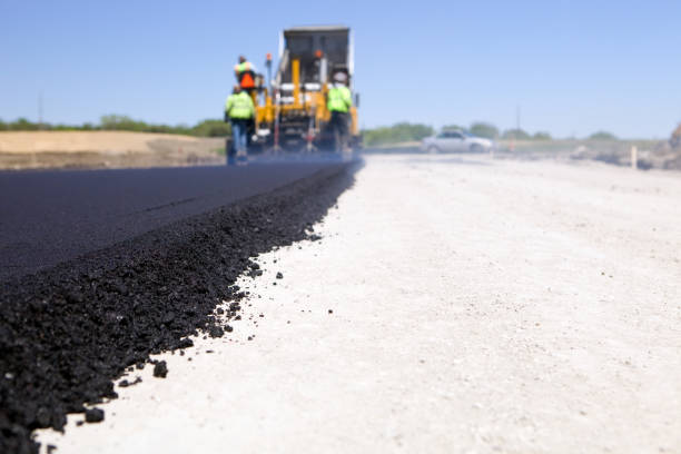 Best Driveway Repair Near Me  in Pamplico, SC