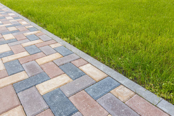 Best Professional Driveway Pavers  in Pamplico, SC